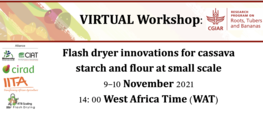 Atelier virtuel sur les innovations en matières de séchage rapide de l'amidon et de la farine de manioc à petite échelle.