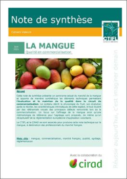 Note de Synthèse : La mangue - Qualité en commercialisation