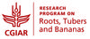 Logo CRP-RTB
