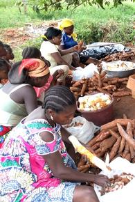 Epluchage du manioc (© D. Dufour, Cirad)